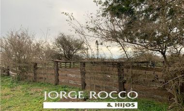 Campo en venta en Ranchos. 90 Has. mixto