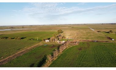 Campo en venta en Ranchos. 90 Has. mixto