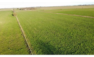 Campo en venta en Ranchos. 90 Has. mixto