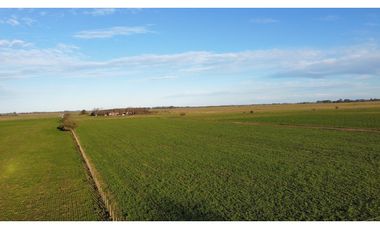 Campo en venta en Ranchos. 90 Has. mixto