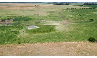 Campo en venta en Ranchos. 90 Has. mixto