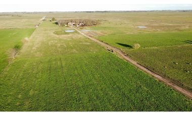 Campo en venta en Ranchos. 90 Has. mixto