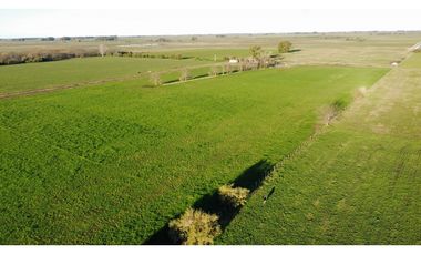 Campo en venta en Ranchos. 90 Has. mixto
