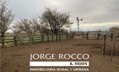 Campo en venta en Ranchos. 90 Has. mixto