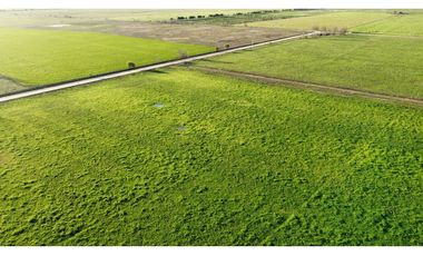 Campo en venta en Ranchos. 90 Has. mixto