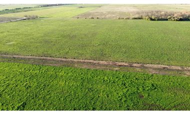 Campo en venta en Ranchos. 90 Has. mixto