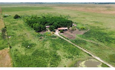 Campo en venta en Ranchos. 90 Has. mixto