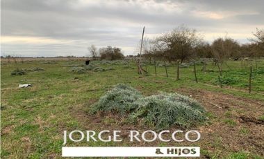Campo en venta en Ranchos. 90 Has. mixto