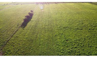 Campo en venta en Ranchos. 90 Has. mixto