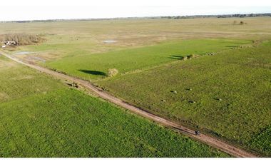Campo en venta en Ranchos. 90 Has. mixto