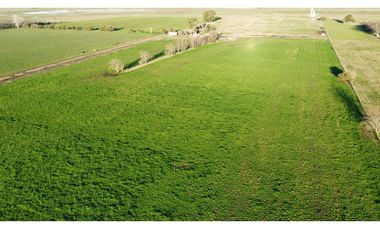 Campo en venta en Ranchos. 90 Has. mixto