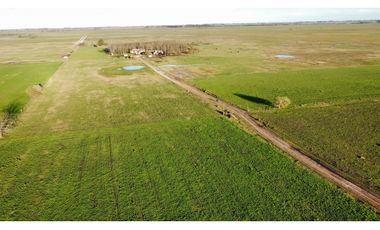 Campo en venta en Ranchos. 90 Has. mixto