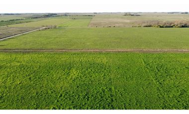 Campo en venta en Ranchos. 90 Has. mixto