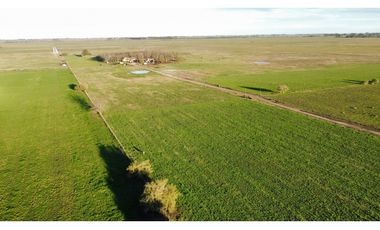 Campo en venta en Ranchos. 90 Has. mixto