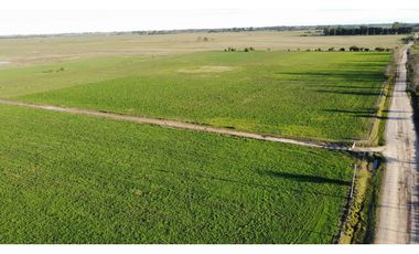 Campo en venta en Ranchos. 90 Has. mixto