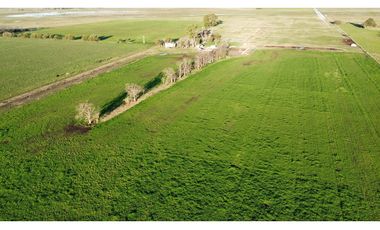 Campo en venta en Ranchos. 90 Has. mixto