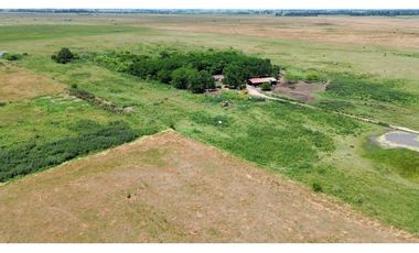 Campo en venta en Ranchos. 90 Has. mixto