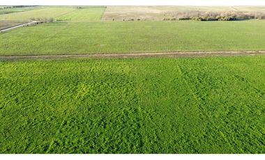 Campo en venta en Ranchos. 90 Has. mixto