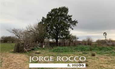 Campo en venta en Ranchos. 90 Has. mixto