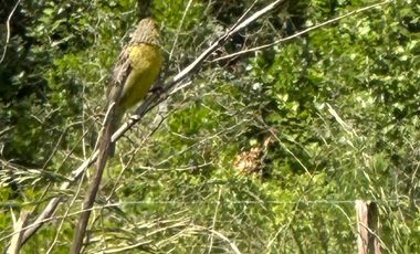 Parcela en venta en RETIRO