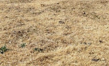 Parcela en Venta en RUTA 90