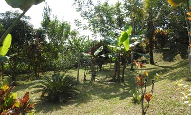 QUINTA DE VENTA URBANIZACION - PEDRO VICENTE MALDONADO