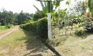 QUINTA DE VENTA URBANIZACION - PEDRO VICENTE MALDONADO