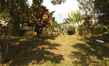 QUINTA DE VENTA URBANIZACION - PEDRO VICENTE MALDONADO