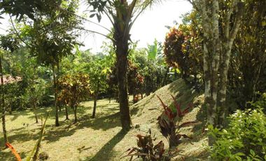 QUINTA DE VENTA URBANIZACION - PEDRO VICENTE MALDONADO