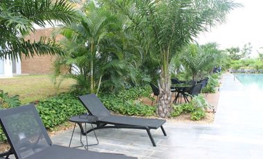 Departamento en Renta en Mérida, Vía Montejo, AMUEBLADO (208)