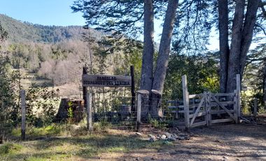 SE VENDE HERMOSA PARCELA DE UNA HECTAREA EN CHERQUENCO