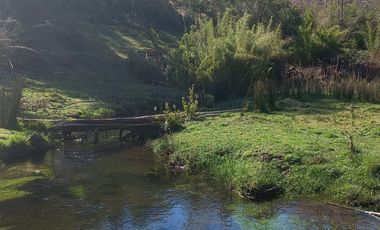SE VENDE HERMOSA PARCELA DE UNA HECTAREA EN CHERQUENCO