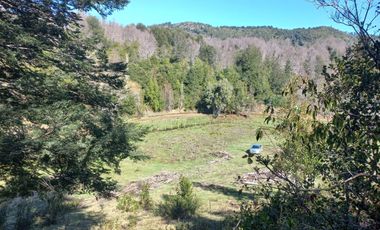 SE VENDE HERMOSA PARCELA DE UNA HECTAREA EN CHERQUENCO