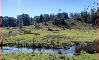 SE VENDE HERMOSA PARCELA DE UNA HECTAREA EN CHERQUENCO
