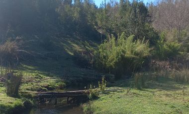 SE VENDE HERMOSA PARCELA DE UNA HECTAREA EN CHERQUENCO
