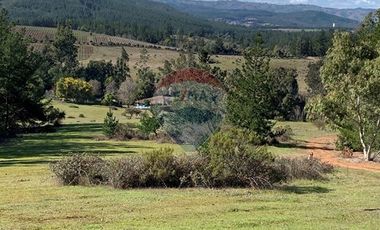 Residencia de Lujo Ideal Hotel Boutique