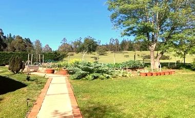 Residencia de Lujo Ideal Hotel Boutique