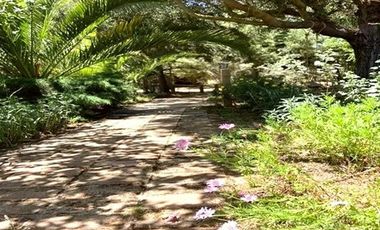 Residencia de Lujo Ideal Hotel Boutique