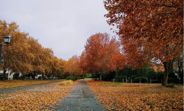 Casa + Anexo + Piscina + Parcela Laguna de Aculeo