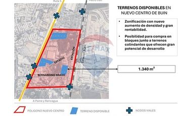 Paño inmobiliario | Nuevo Centro Buin 1.340m²