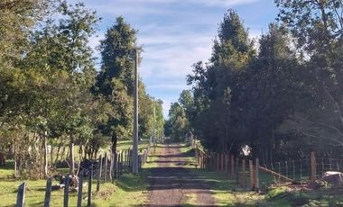 Parcelas con vista al Volcán Villarrica