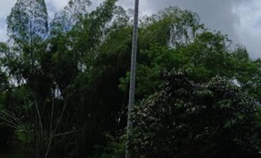 VENTA de FINCAS en PEREIRA