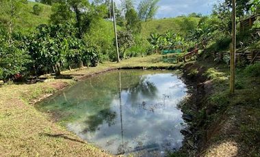VENTA de FINCAS en PEREIRA