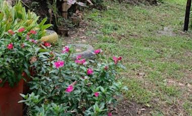 VENTA de FINCAS en PEREIRA