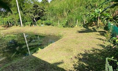 VENTA de FINCAS en PEREIRA