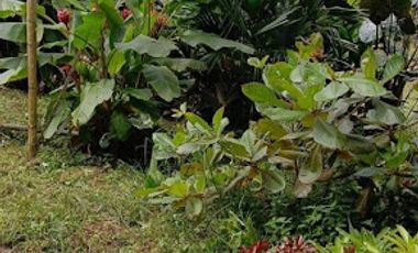 VENTA de FINCAS en PEREIRA