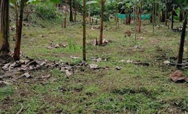 VENTA de FINCAS en PEREIRA