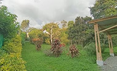 ARRIENDO de CASAS en PEREIRA