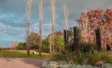 La Rinconada -  Venta Terrenos 1000 m2 en Ibarlucea