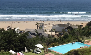 PINARES DE CACHAGUA, ZAPALLAR